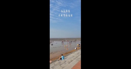 海邊尋寶，劉家灣趕海園—泰安金輝國旅